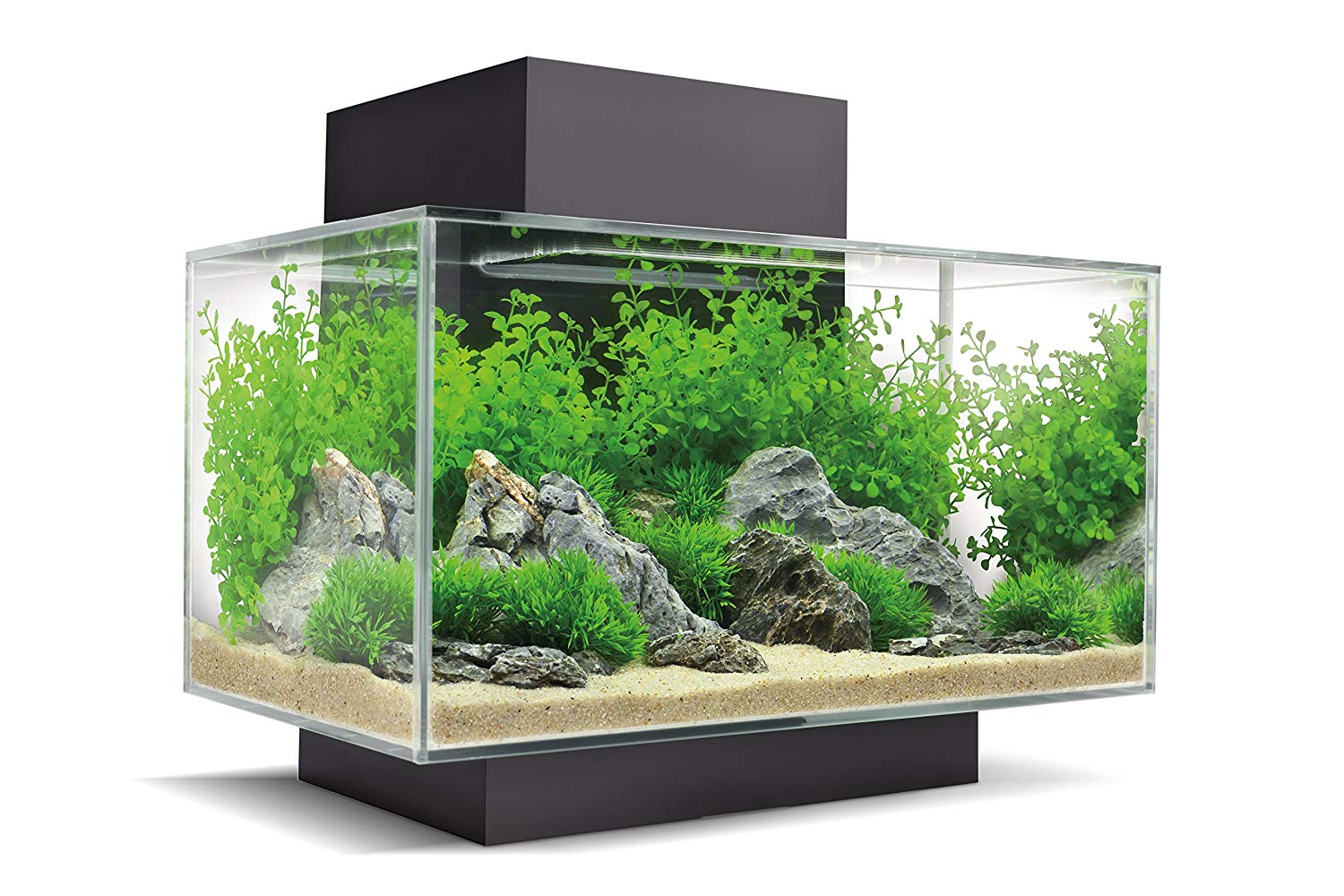 tutorial allestimento acquario aquarium 